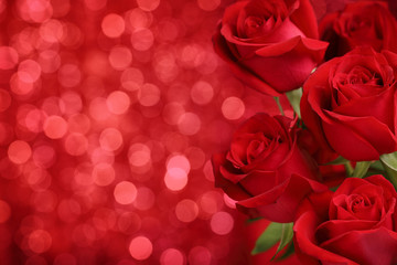 Fototapeta na wymiar Red roses on bokeh background