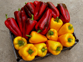 red and yellow peppers