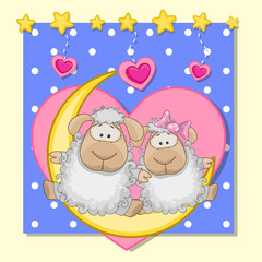 Lovers Sheep
