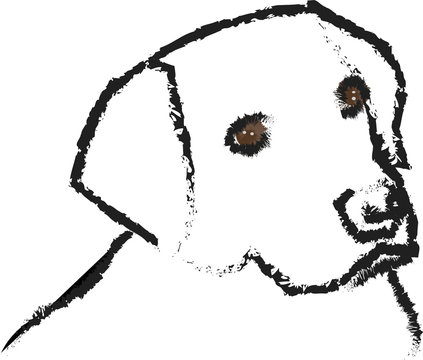 cane