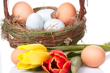 Easter eggs and basket isolated