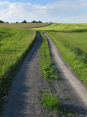 Fototapeta premium Feldweg