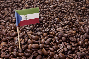 Flag of Equatorial Guinea sticking in coffee beans.(series)