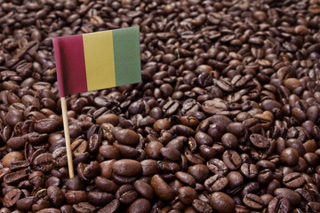 Flag of Guinea sticking in coffee beans.(series)