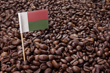 Flag of Madagascar sticking in coffee beans.(series)