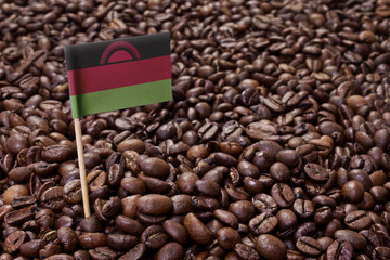Flag of Malawi sticking in coffee beans.(series)