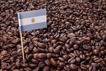 Flag of Argentina sticking in coffee beans.(series)