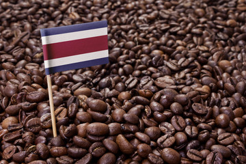 Flag of Costa Rica sticking in coffee beans.(series)