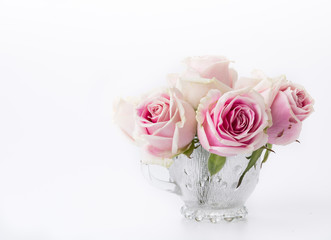 white and pink rose