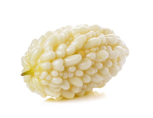 White bitter cucumber on white background