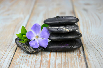 Black zen stones with purple flower