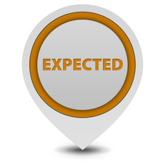Expected pointer icon on white background