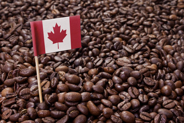 Flag of Canada sticking in coffee beans.(series)