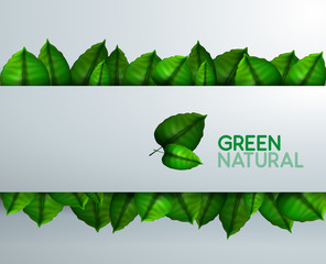 Presenación con hojas naturales y verdes. Fondo de naturaleza