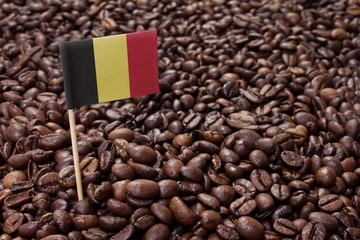 Flag of Belgium sticking in coffee beans.(series)