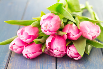 tulips on blue wooden background