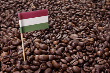 Flag of Hungary sticking in coffee beans.(series)