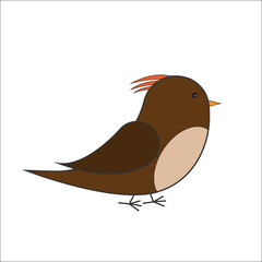 brown bird vector