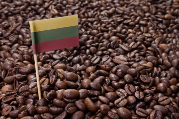 Flag of Lithuania sticking in coffee beans.(series)