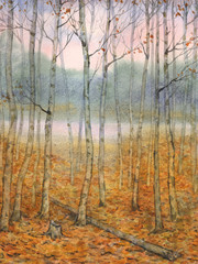Watercolor landscape. A quiet evening in the autumn forest