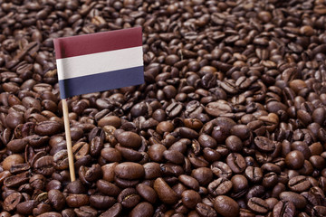 Flag of Netherlands sticking in coffee beans.(series)