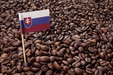 Flag of Slovakia sticking in coffee beans.(series)