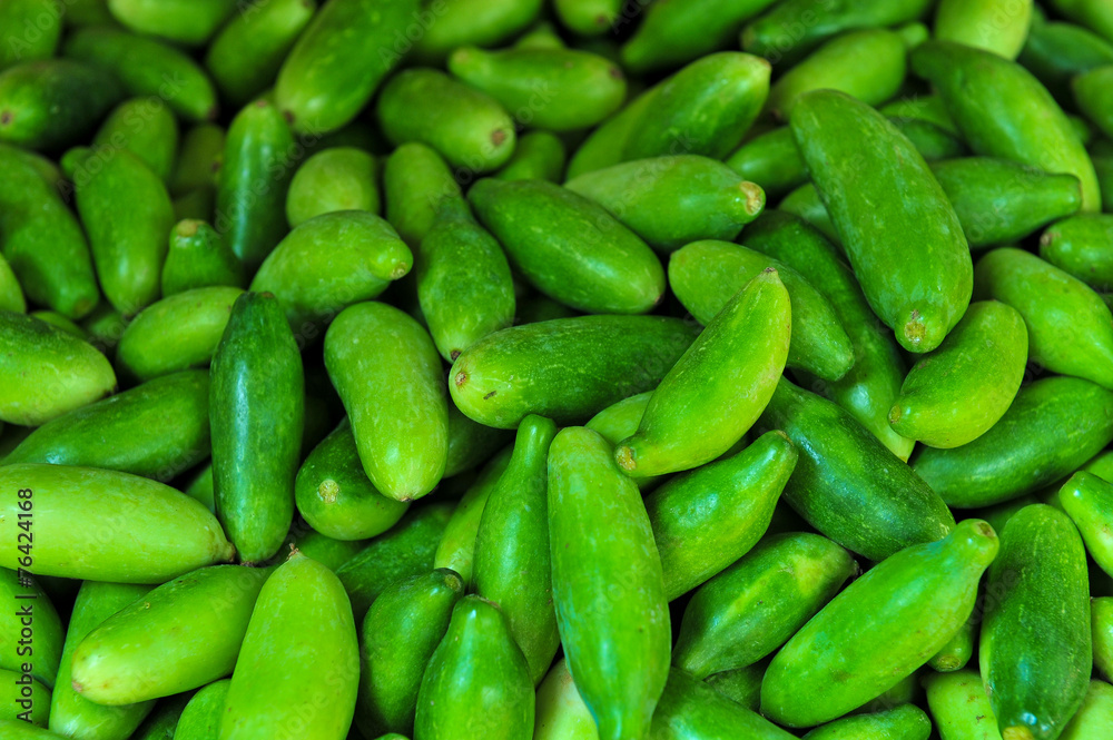 Wall mural fresh green cucumber collection outdoor on market macro