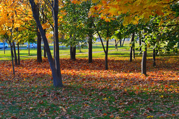 осенний парк