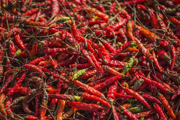 Dried red chili pepper background