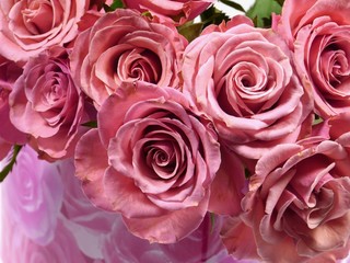 Charm pink roses as a gift on Valentines  or mothers day