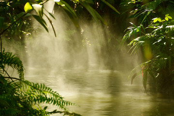 River Early Light