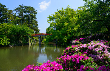 Fototapeta na wymiar Okazaki Park in Aichi, Japan