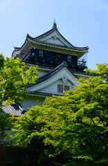Obraz premium Okazaki Castle in Aichi, Japan