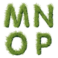Green Grass Alphabet M N O P