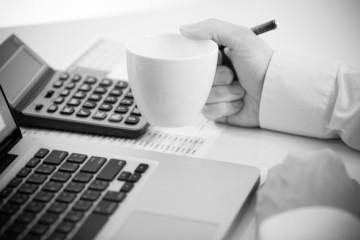 Businessman analyzing investment charts with laptop. Accounting