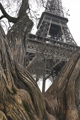 Tour Eiffel l'hiver Paris France