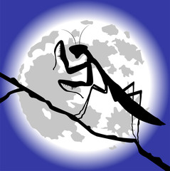 silhouette di mantide sotto la luna