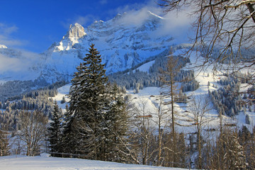 alpen adelboden schweiz