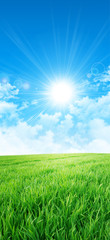green like a meadow in the sun