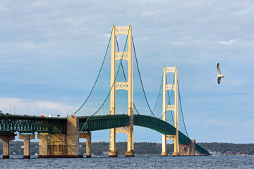 Mighty Mac and Seagull