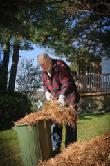 senior cleaning the yard c