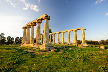 Metaponto Santuario Templio di Hera