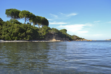 Fototapeta premium Sardegna, Conca verde