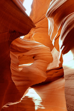 The Maiden in Lower Antelope Canyon