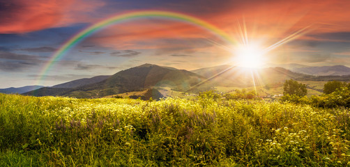 meadow with flowers in mountains at sunset
