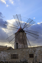 Fototapeta na wymiar Windmill of saline of trapani