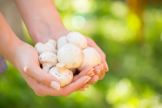 Woman holding mushroom. Concept - Simple Life. green background