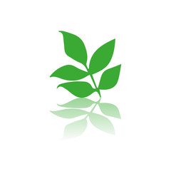green leaves icon