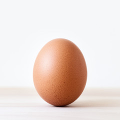 Single brown chicken egg