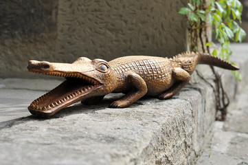 crocodile